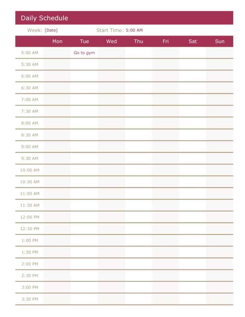 24 Free Daily Schedule Templates Daily Planners Word Excel PDF